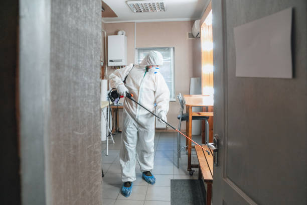 Best Dehumidification Services  in Welcome, SC