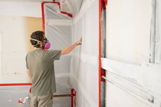 Best Attic Mold Removal  in Welcome, SC