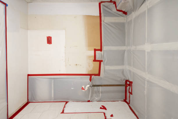 Reliable Welcome, SC Mold Removal Solutions