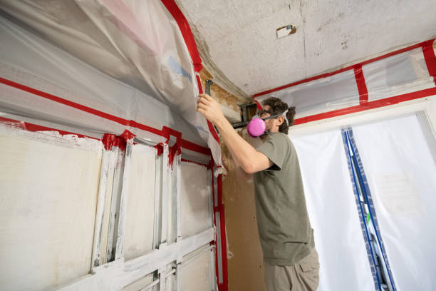 Best Air Quality Testing for Mold Spores  in Welcome, SC