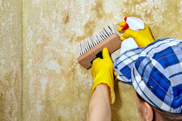 Best Indoor Air Quality Assessment  in Welcome, SC