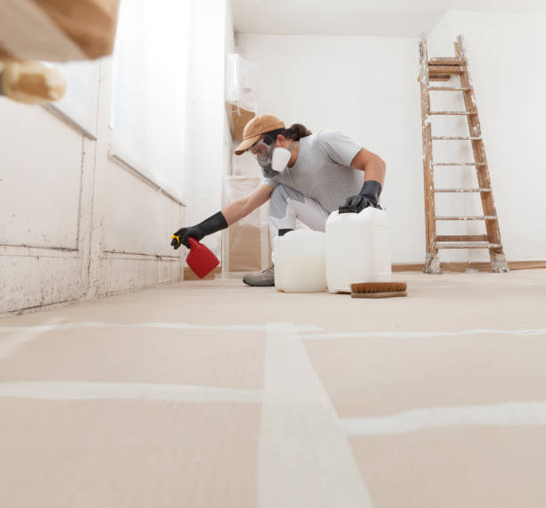 Mold Removal for HVAC Installations in Welcome, SC